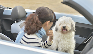 The Beetle Cabriolet meets FUJIWARA Michiko 05