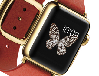 Apple｜新製品iPhone6 Plus、iPhone 6、Apple Watchを発表 ｜アップル 09