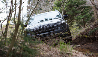 Jeep Cherokee 29