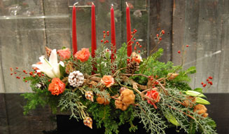 FLORALUXE | Christmas
