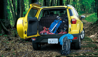 Ford Ecosport Bright Yellow│フォード エコスポーツ ブライト イエロー