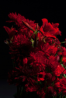 Flower_325