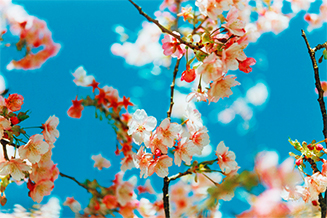 ART FAIR TOKYO 2015