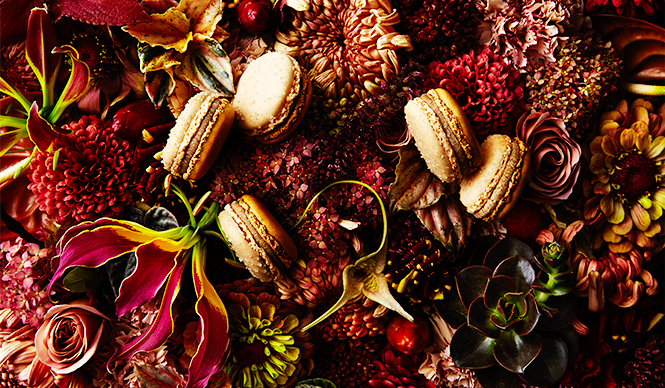 2015 Jardin Series | EAT