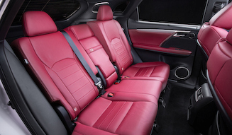 Lexus RX300 "F SPORT"