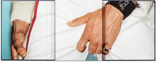 Mario Testino: SIR | book