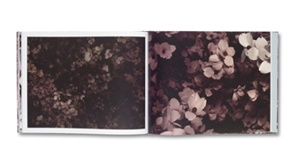Blossom
