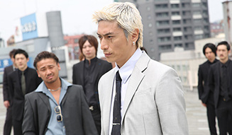 swan_07_327