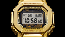 DW-5000-02a