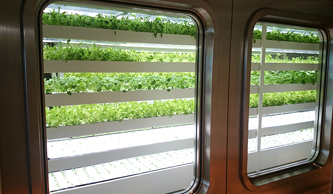 itoya|伊東屋