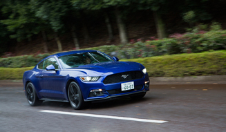 Ford Mustang 50 Years Edition