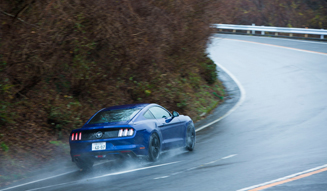 Ford Mustang 50 Years Edition