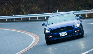Ford Mustang 50 Years Edition