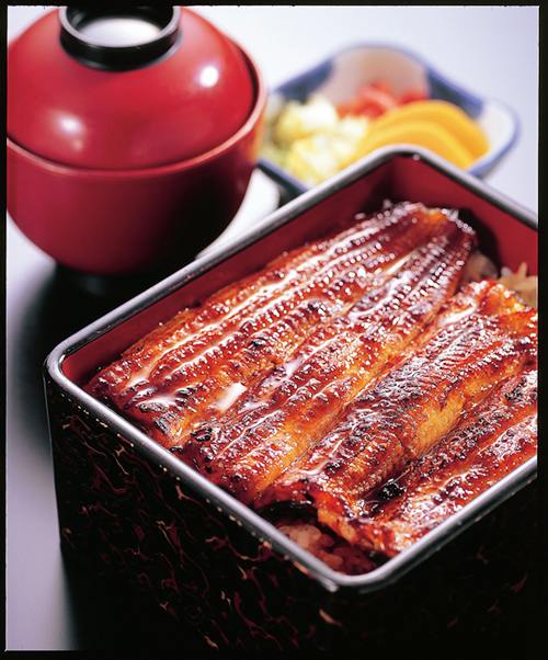 327_03 Unagi Fujita