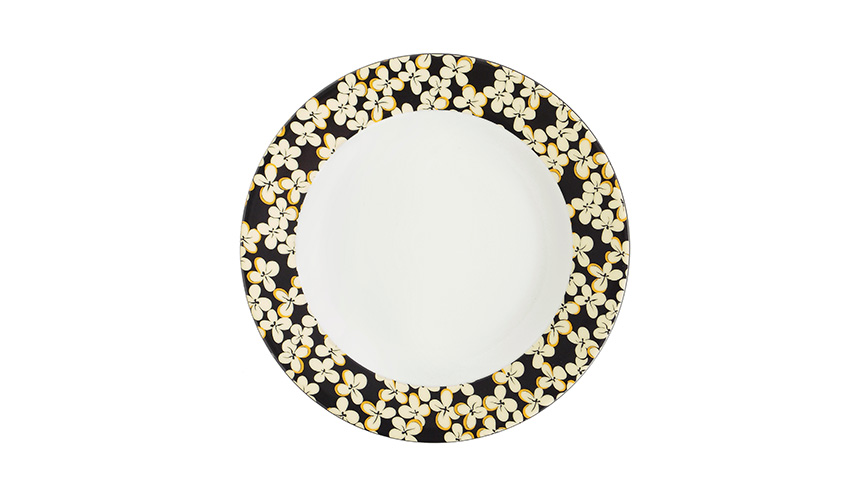 DISH18cm_01