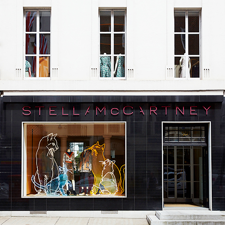 STELLA-WINDOW-3