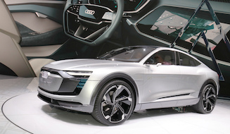 s_025_IAA_2017_rep