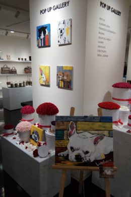 pop-up-gallery