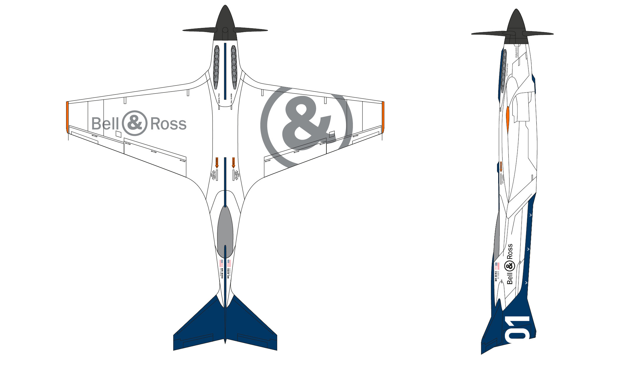 BR-BIRD-filaire