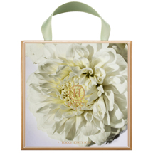 Honey Facial Soap 10th Anniversary Limited Edition Champagne Blanc