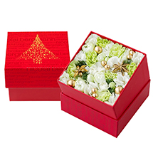 Nicolai Bergmann Christmas Collection