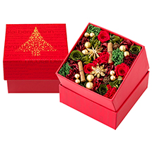 Nicolai Bergmann Christmas Collection