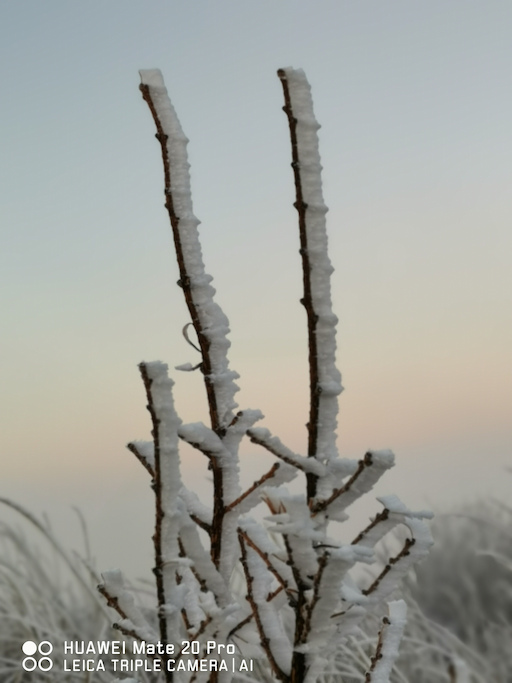HUAWEI Mate 20 Pro