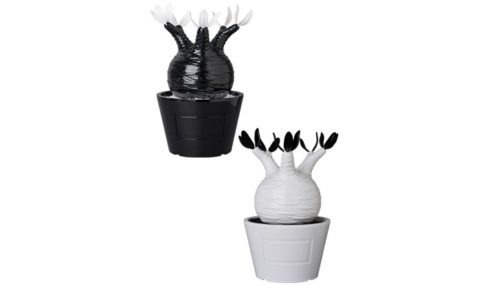 その他 MEDICOM TOY - VCD Pachypodium Gracilius GLOSS BLACK MEDICOM TOY OFFICIAL BLOG（メディコム・トイ オフィシャル