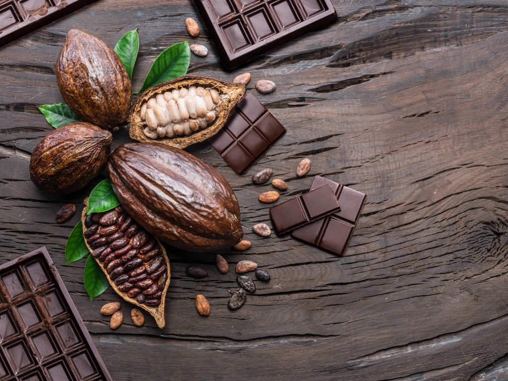 フィリピンのユニークなチョコレート文化～「Tree to Bar」で作られるチョコレートと チョコレートのお粥やスパを紹介