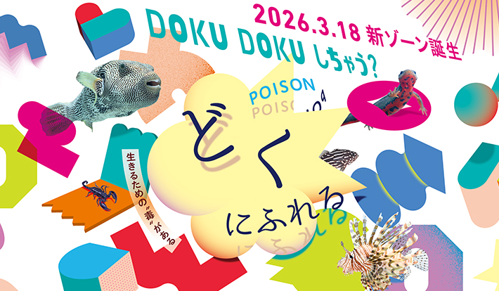 ニフレル開館以来初となる、“毒”にフォーカスした新ゾーン 「どくにふれる」2026年3月18日(水)誕生！