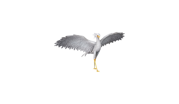 UDF FLOW Secretary bird
