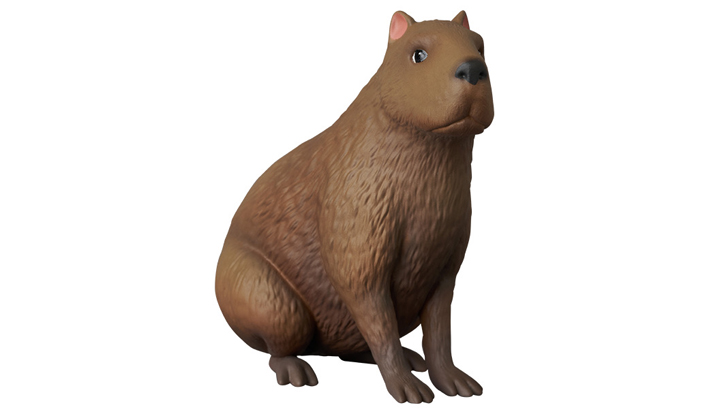 UDF FLOW Capybara