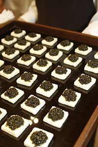 "Bottega Veneta Ginza"<br>Opening Commemorative Party