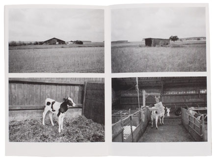Zines: Effortlessly Capturing the Roots of Creation