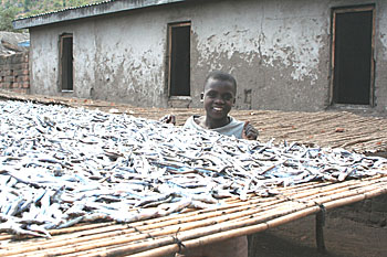 Chapter 12: The Reality of African Children - I