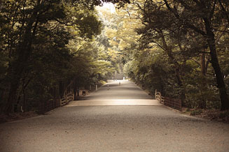 The 40th<br>Tales of "Home" - Autumn Lighting Edition
