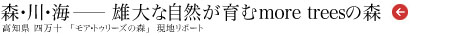 雄大な自然が育むmore treesの森