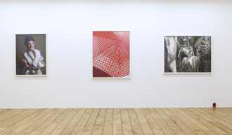 第42回 ロー・アスリッジ個展『グッドナイトフラワーズ』(その2)