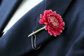 Part 52: Tales of "Clothing" – The Shape of Flowers
