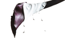 white-220