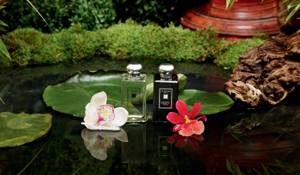 Jo Malone | Jo Malone