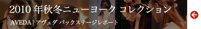 100426_aveda_banner
