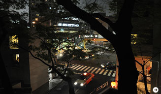 温室|月夜の読書会 03