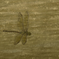 200_sugiyama