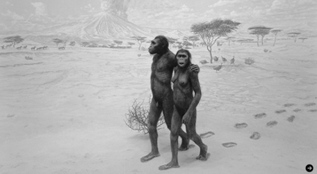 Hiroshi Sugimoto Exhibition "From Naked to Clothed" 01