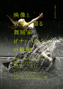 Pina Bausch Tribute