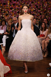 Christian Dior 17