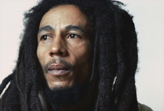 Bob Marley: Roots of a Legend