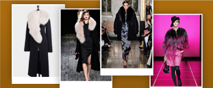 Fur