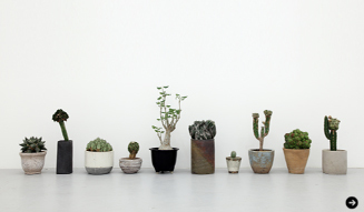 Qusamura temporary shop at limArt vol.2-植物も個性の時代-02